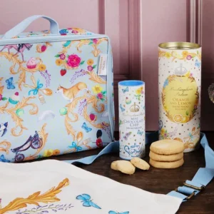 Online The Summertime Sandwich Bag Picnics